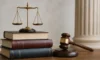 Turkish Citizenship Law